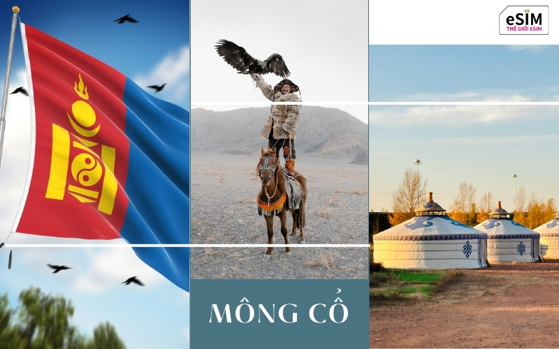 Mông Cổ hấp dẫn bởi thảo nguyên, sa mạc, lịcMông Cổ hấp dẫn bởi thảo nguyên, sa mạc, lịch sử và trải nghiệm đời sống du mục nguyên bản.h sử và trải nghiệm đời sống du mục nguyên bản.